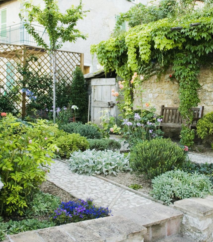 backyard-garden.jpg